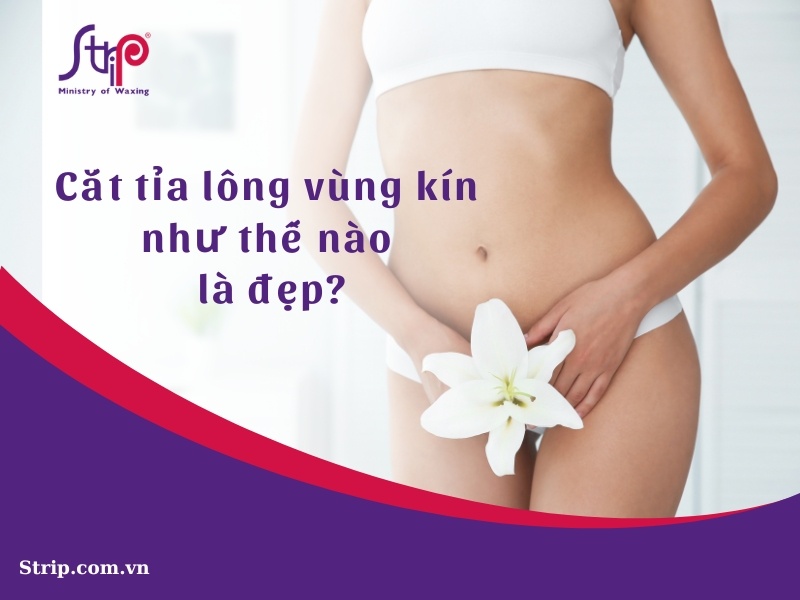 Cắt tỉa lông vùng kín thế nào là đẹp?